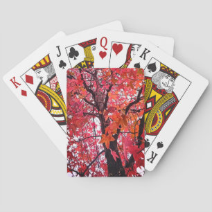 Jeu De Cartes Feuille rose