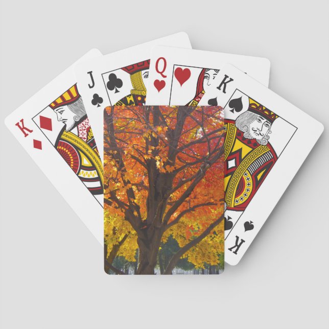 Jeu De Cartes Feuilles d'automne de la photo jaune et orange (dos)