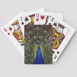 Jeu De Cartes Fiers Peacock jouant aux cartes