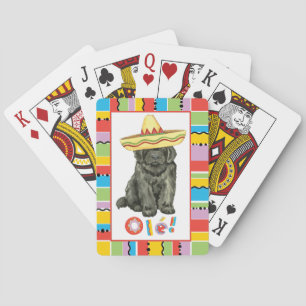 Jeu De Cartes Fiesta Terre-Neuve Jouer aux cartes