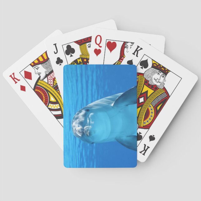 Jeu De Cartes Fin réceptrice de dauphin (dos)