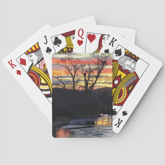 Jeu De Cartes Fire and Ice Playing Cards (dos)