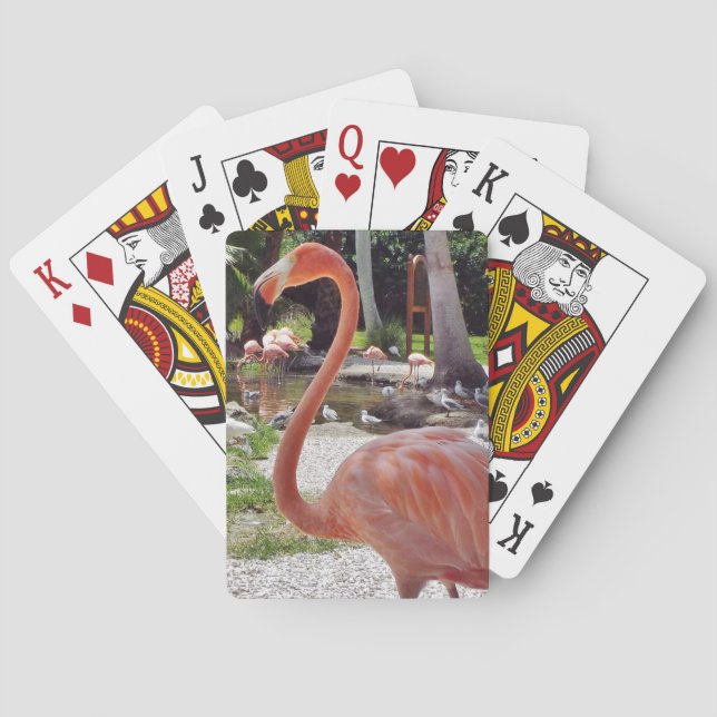 Jeu De Cartes Flamant rose rose (dos)