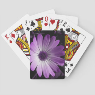 Jeu De Cartes Fleur de marguerite violet Jouer aux cartes