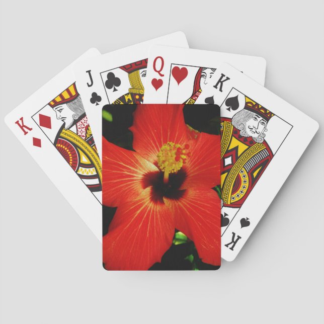 Jeu De Cartes Fleur d'Hibiscus rouge-orange (dos)