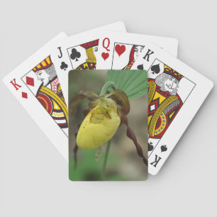 Jeu De Cartes Fleur d'orchidée à chlipper jaune sauvage