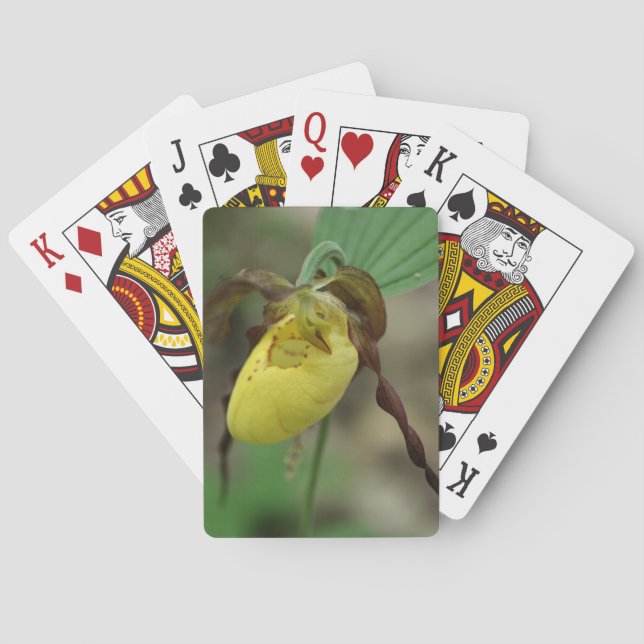 Jeu De Cartes Fleur d'orchidée à chlipper jaune sauvage (dos)