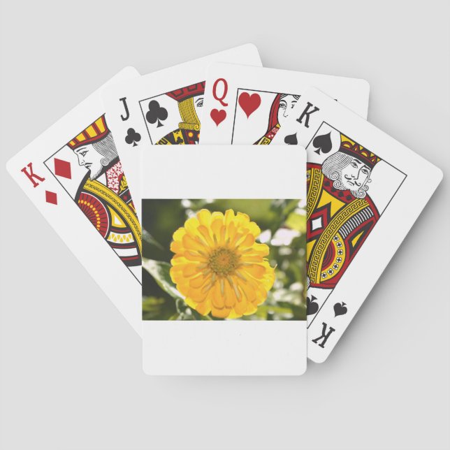 Jeu De Cartes Fleur jaune fleurie jaune marguerite jaune (dos)