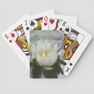 Jeu De Cartes Fleur Lily Lotus en fleurs d'eau blanche