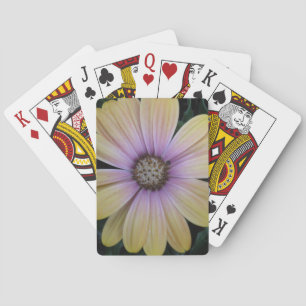 Jeu De Cartes Fleur marguerite jaune et violet