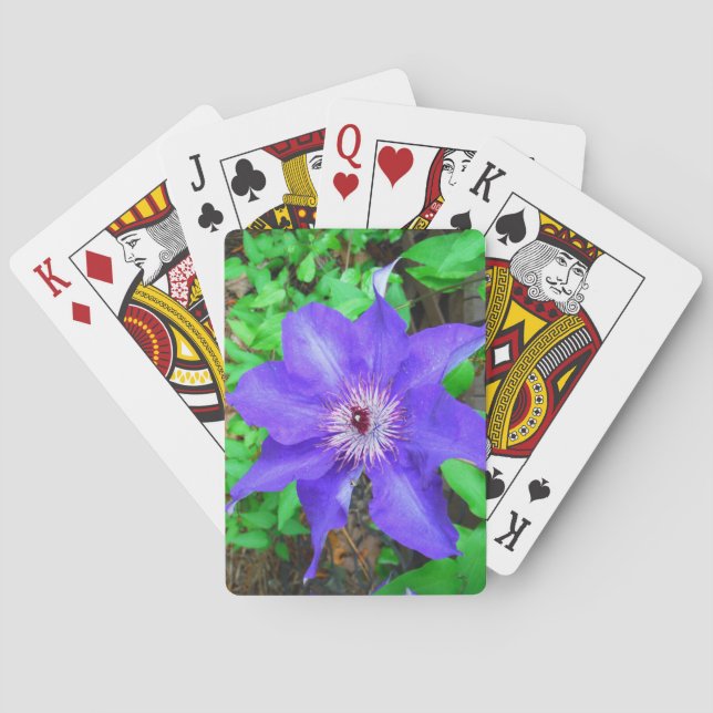 Jeu De Cartes Fleur violette Clematis (dos)