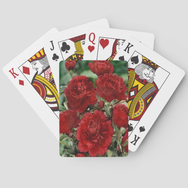 Jeu De Cartes Fleurs de carnation rouge Jouer des cartes (dos)