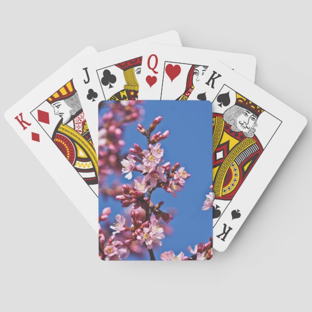 Jeu De Cartes Fleurs de cerisier de Sakura touchant le bleu (dos)