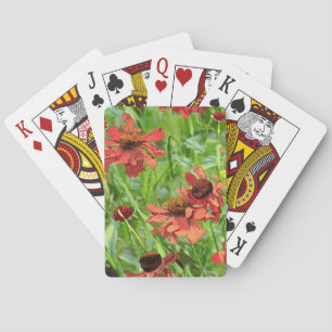 JEU DE CARTES FLEURS DE RUDBECKIA ROUGES
