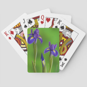 Jeu De Cartes Fleurs d'iris