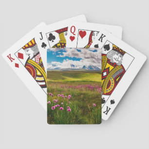 Jeu De Cartes Fleurs Montagnes de l'Altaï, Sibérie, Russie