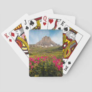 Jeu De Cartes Fleurs   Parc national des Glaciers du Montana