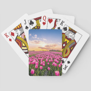 Jeu De Cartes Fleurs   Tulips Holland Sud, Pays-Bas