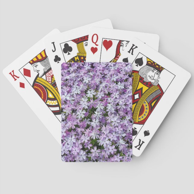 Jeu De Cartes Fleurs violettes Phlox (dos)