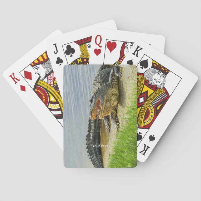 Jeu De Cartes Florida American Alligator (dos)