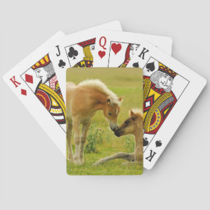 Jeu De Cartes Foals de Horse