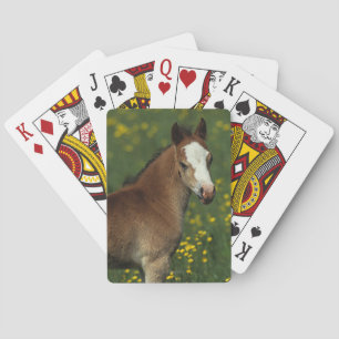 Jeu De Cartes Foie gallois