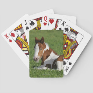 Jeu De Cartes Foie pondu dans l'herbe