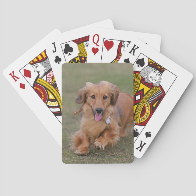 Jeu De Cartes Fonctionnement de teckel de Miniture (dos)