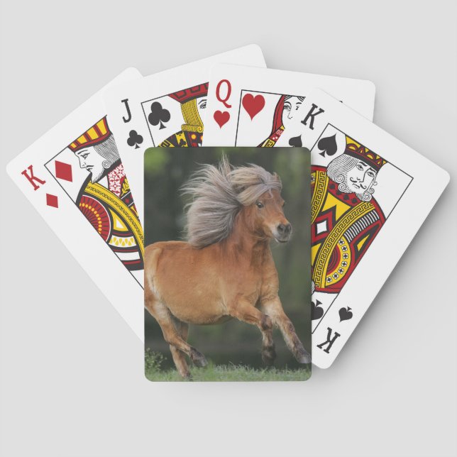 Jeu De Cartes Fonctionnement miniature de cheval (dos)