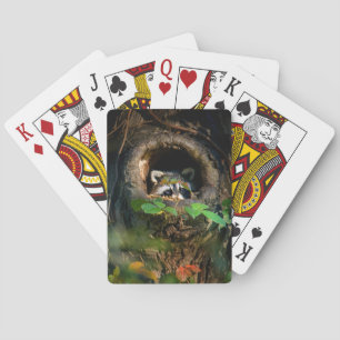 Jeu De Cartes Forests   Raccoon Peeking
