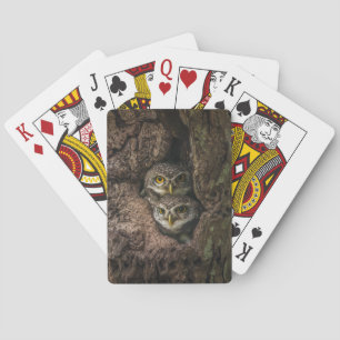 Jeu De Cartes Forests Two Owls Looking