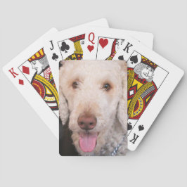 Jeu De Cartes Fuzzy