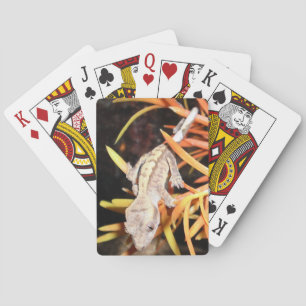 Jeu De Cartes Gecko crêté de bébé