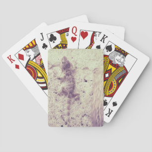 Jeu De Cartes Gecko pris dans une toile