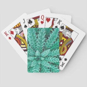 Jeu De Cartes Gelée sur chardon, Parc national Olympique