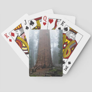 Jeu De Cartes Général Sherman Tree, Sequoia, CA