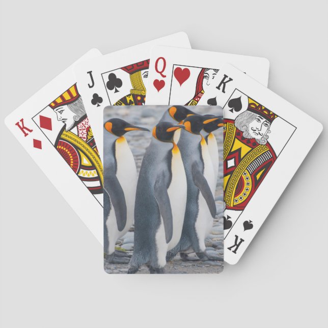 Jeu De Cartes Géorgie du Sud. Manchots royaux (dos)