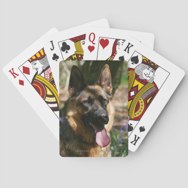 Jeu De Cartes German Shepherd (dos)