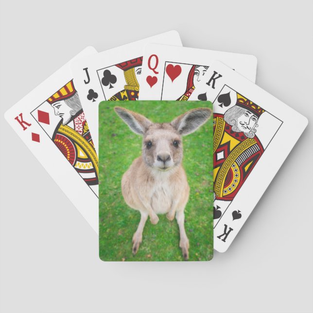 Jeu De Cartes Getty Images | Bébé kangourou (dos)