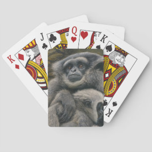 Jeu De Cartes Gibbon Shelter - Emotional Wildlife Portrait