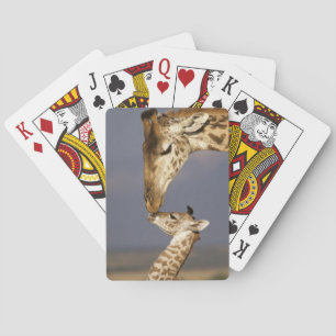 Jeu De Cartes Girafe embrassant un bébé girafe
