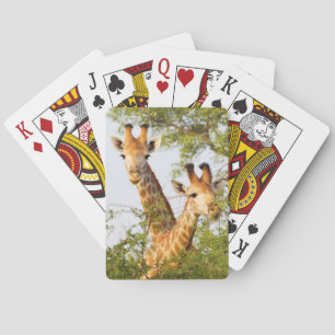 Jeu De Cartes Girafes dépassant la végétation