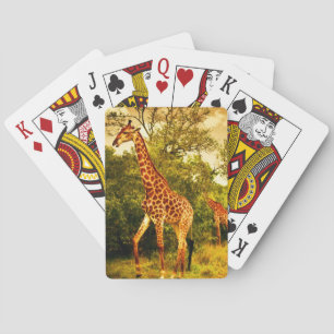 Jeu De Cartes girafes sud-africaines
