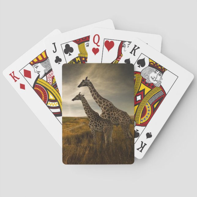 Jeu De Cartes Giraffes et le paysage (dos)