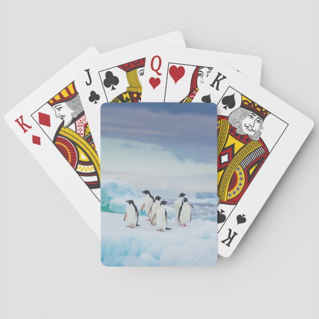 Jeu De Cartes Glace et neige | Adelie Penguins Antarctique (dos)