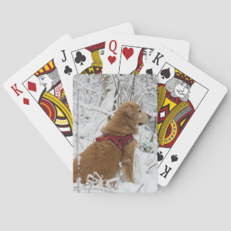 Jeu De Cartes Golden Retriever Jouer des cartes