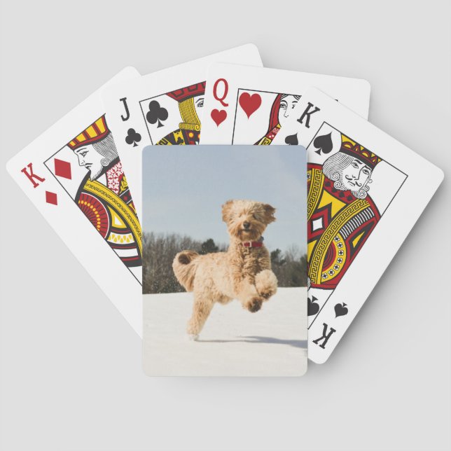 Jeu De Cartes Goldendoodle Traversant Le Champ (dos)
