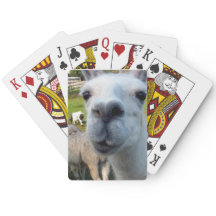 Goofy Llama