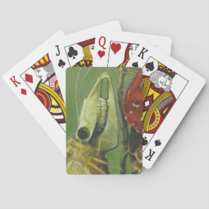Jeu De Cartes Gothique Mutant Moth Jouer des cartes