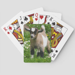 Jeu De Cartes Goût nain du Nigeria